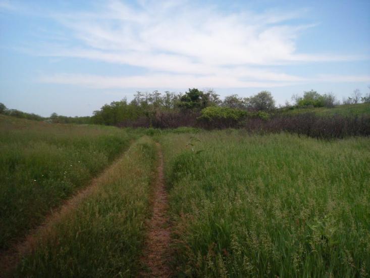 Лупареве з panoramio.com - Лупарево