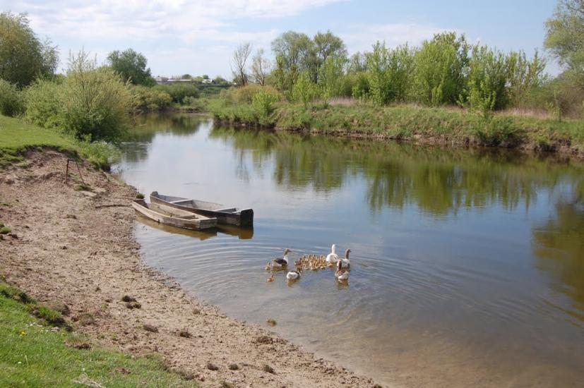 Берестечко з panoramio.com - Берестечко