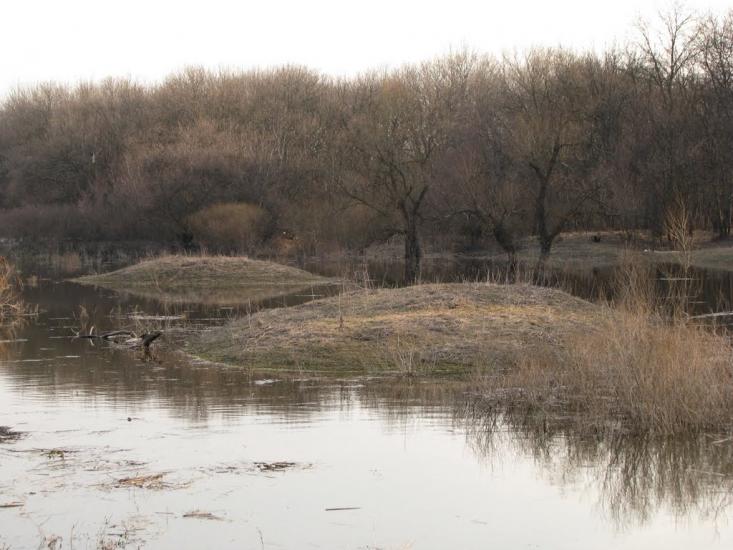 Кочережки з panoramio.com - Кочережки