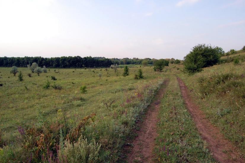 Єпіфанівка з panoramio.com - Епифановка