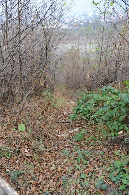 Вишній Дубовець з panoramio.com - Вишній Дубовець