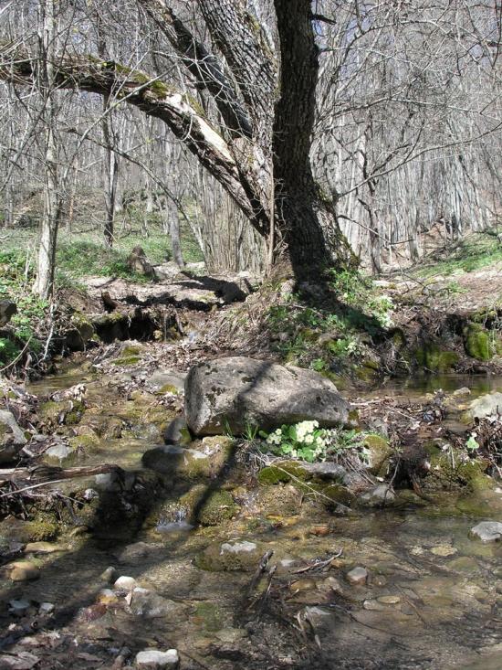 Многоріччя з panoramio.com - Многоріччя