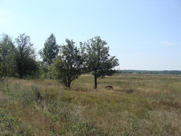 Калинівка з panoramio.com - Калинівка