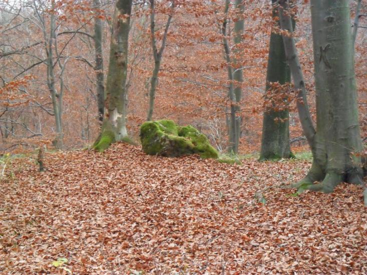Дев'ятир з panoramio.com - Девятир