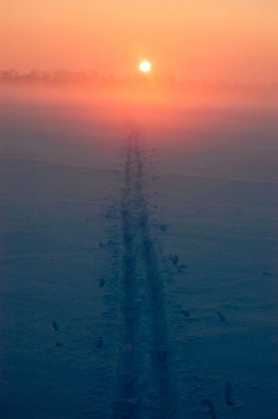 Скалівські Хутори з panoramio.com - Скалівські Хутори