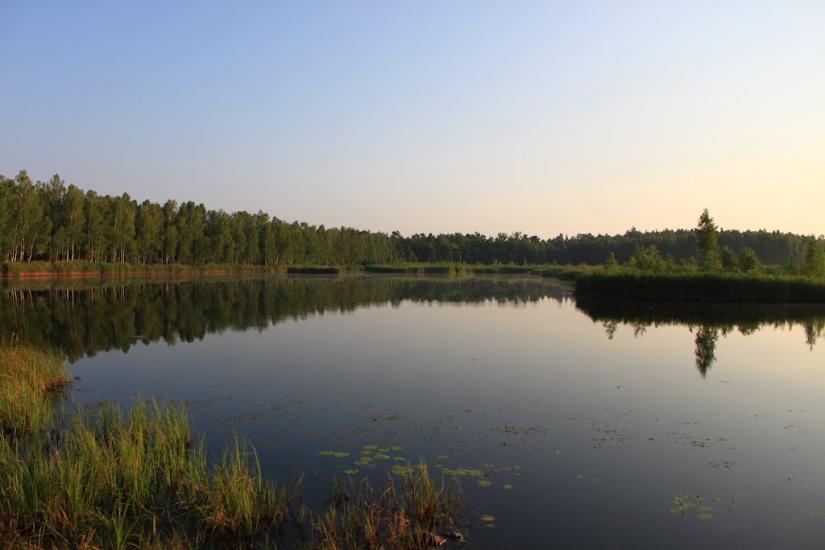 Жовтневе з panoramio.com - Жовтневе
