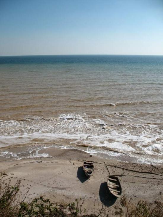 Миронівка з panoramio.com - Миронівка