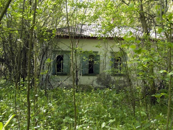 Дитятки з panoramio.com - Дитятки