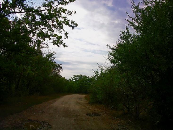 Синапне з panoramio.com - Синапне
