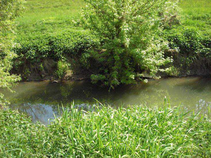 Сторожниця з panoramio.com - Сторожница