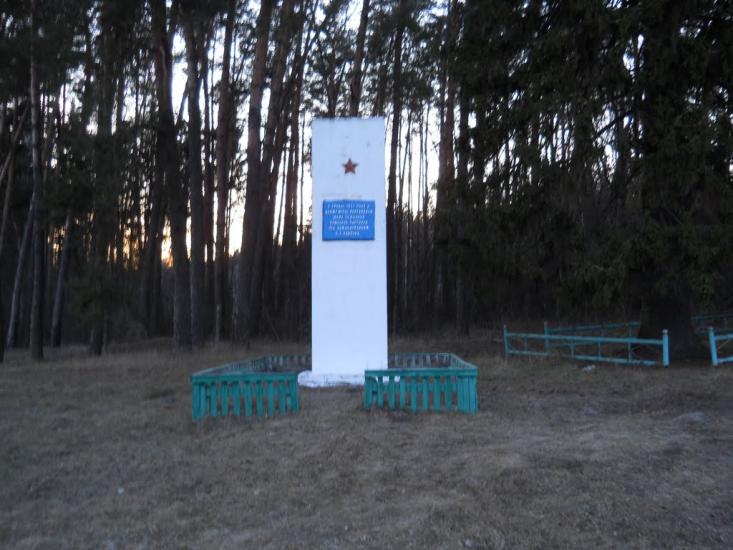 Олине з panoramio.com - Олино