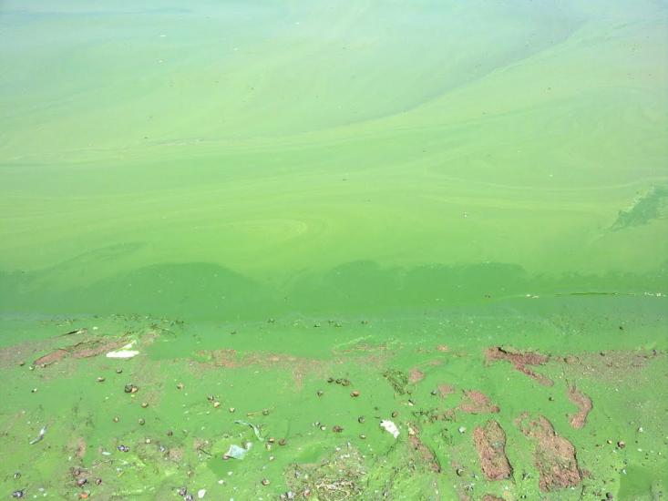 Верхньодніпровськ з panoramio.com - Верхнеднепровск