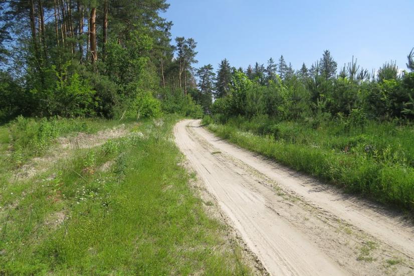 Хрещатик з panoramio.com - Крещатик