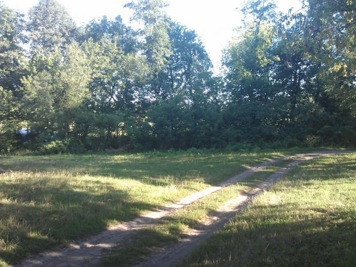 Великі Крушлинці з panoramio.com - Великі Крушлинці