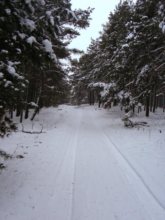 Шишаки з panoramio.com - Shishaki