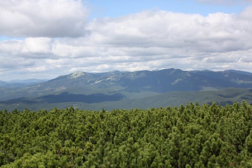 Лопухів з panoramio.com - Лопухов