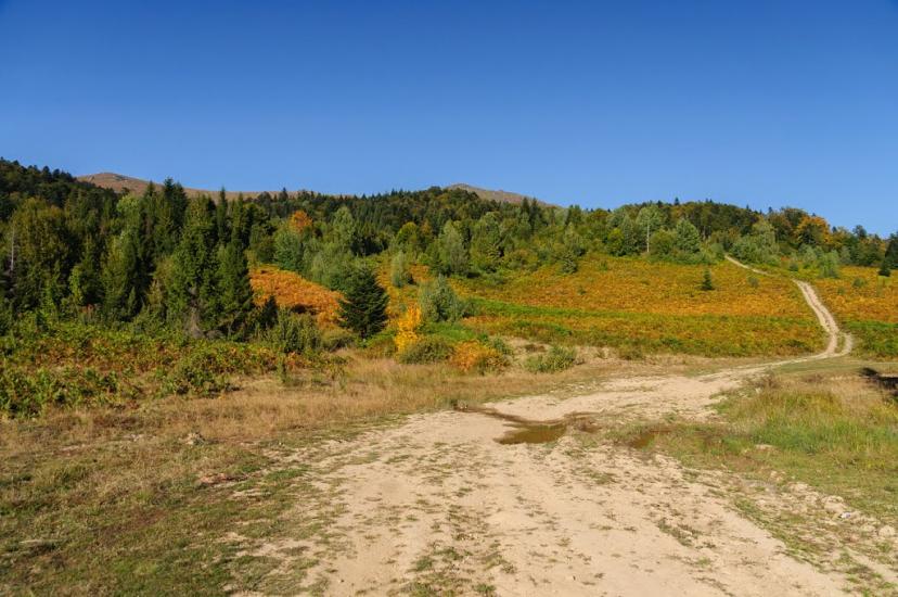 Щербовець з panoramio.com - Щербовец