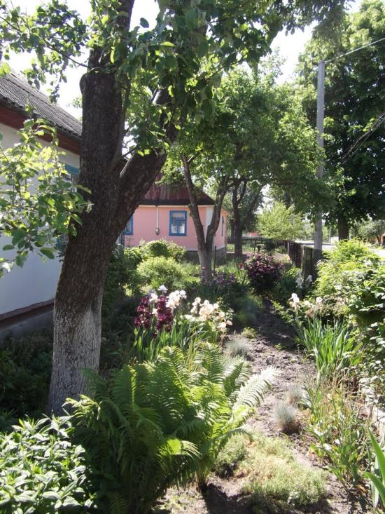 Костопіль з panoramio.com - Костополь