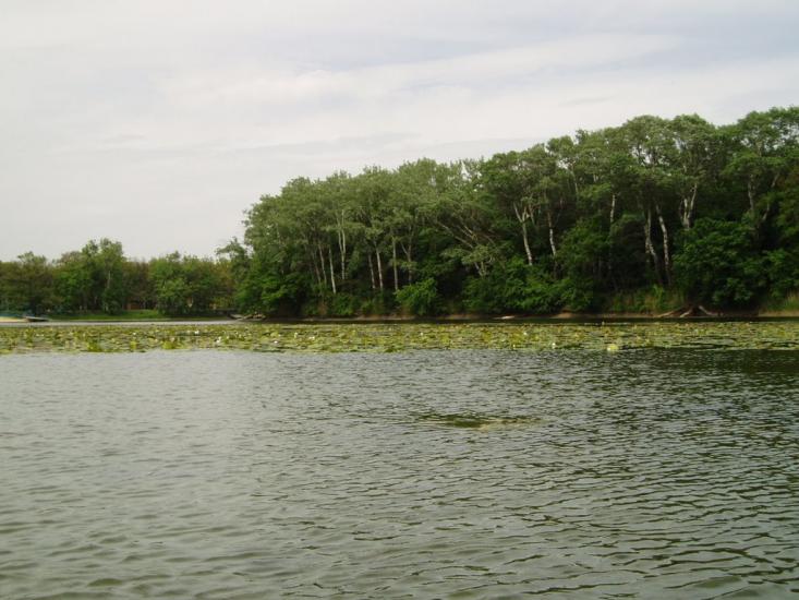 Сокільники з panoramio.com - Сокольники
