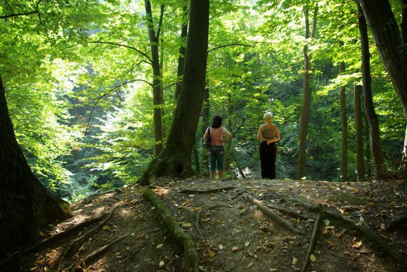 Садківці з panoramio.com - Садківці