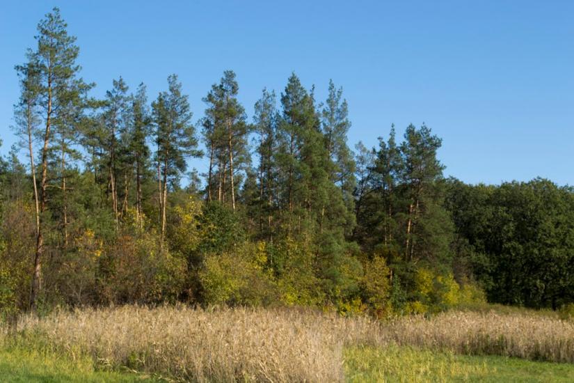 Булахівка з panoramio.com - Булаховка
