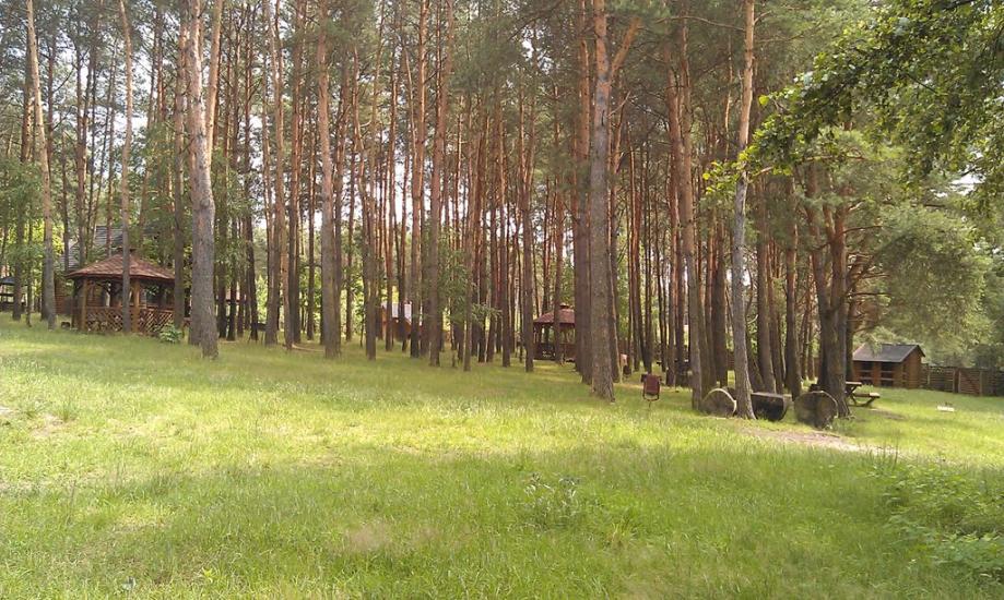 Соловичі з panoramio.com - Соловичі