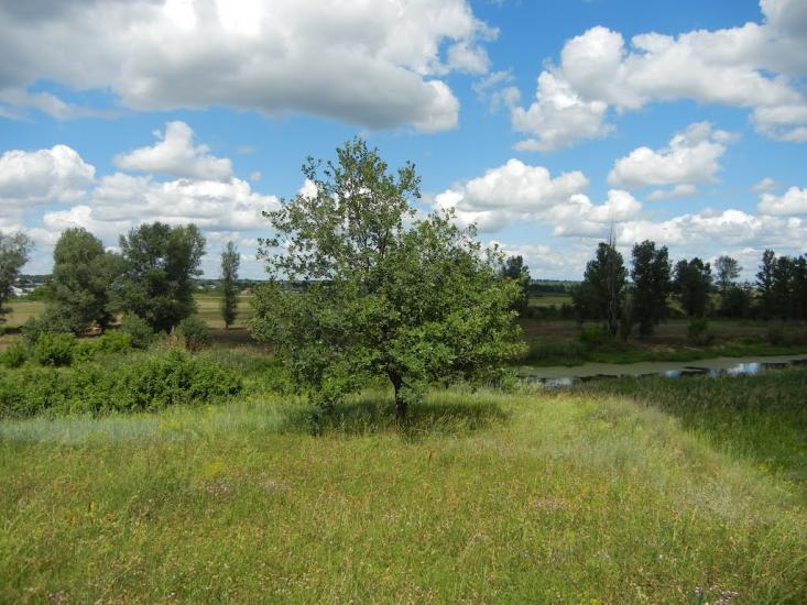 Введенка з panoramio.com - Введенка
