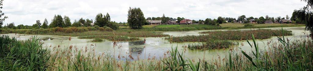 Рейментарівка з panoramio.com - Рейментаровка