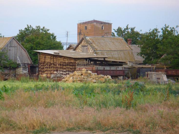 Новоєфремівка з panoramio.com - Новоефремовка