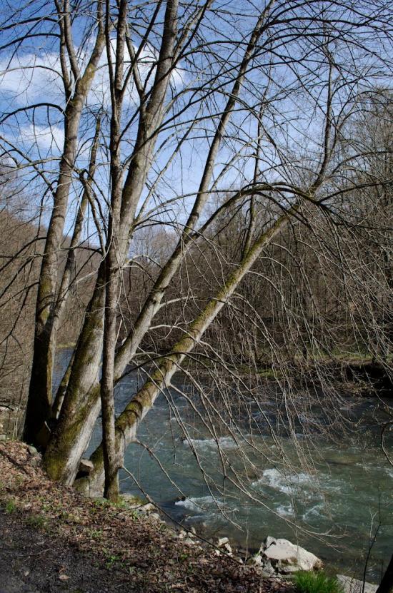 Костева Пастіль з panoramio.com - Костева Пастіль