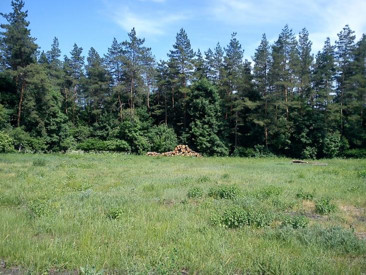 Комсомольський з panoramio.com - Графское