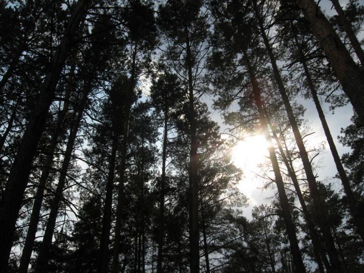 Воропаїв з panoramio.com - Воропаев