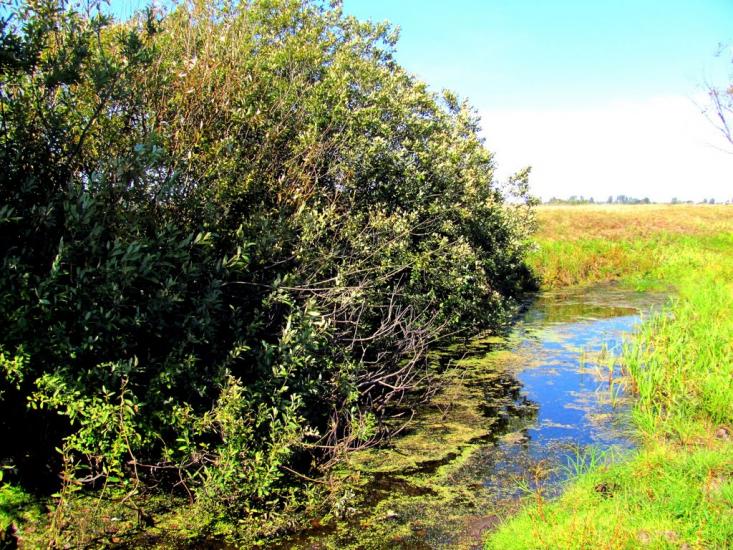 Велика Осниця з panoramio.com - Велика Осниця