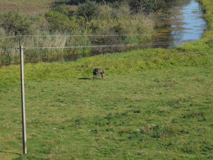Більче з panoramio.com - Більче