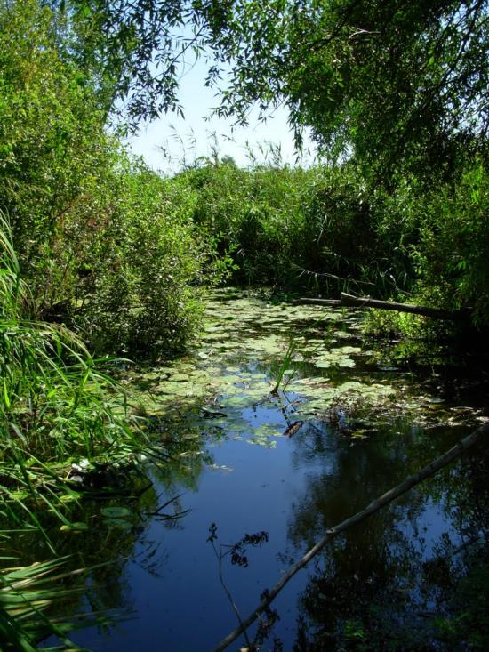 Кукулівка з panoramio.com - Кукулівка