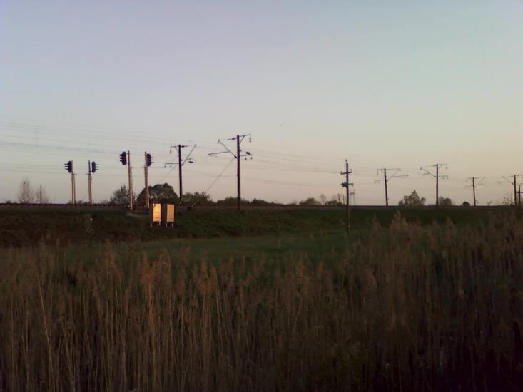 Великі Переліски з panoramio.com - Великі Переліски