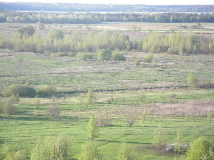 Біляки з panoramio.com - Bilyaky