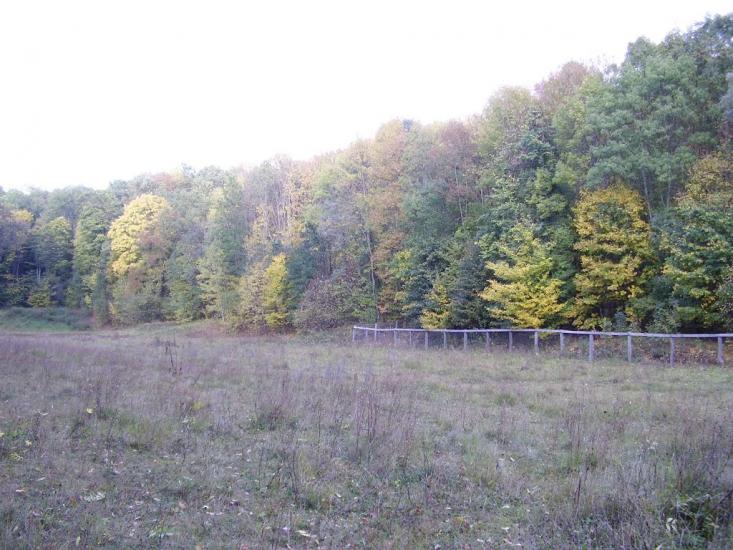 Рибальське з panoramio.com - Рибальське