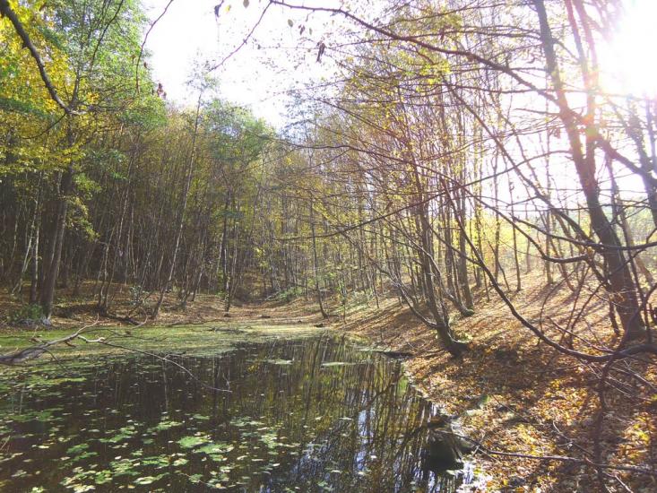 Красилів з panoramio.com - Красилів