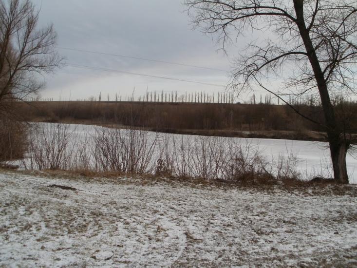 Бджільна з panoramio.com - Бджільна