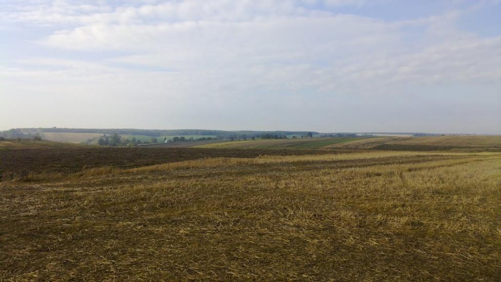 Лаврів з panoramio.com - Лавров