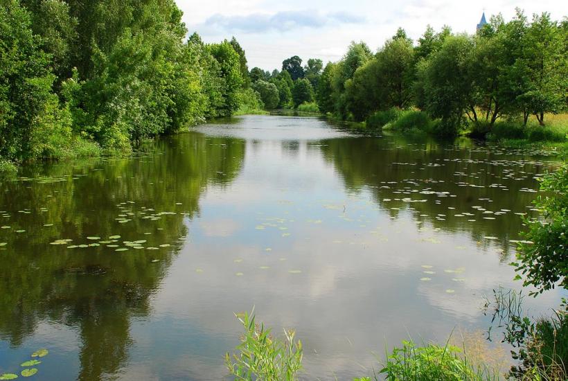 Володарськ-Волинський з panoramio.com - Хорошів