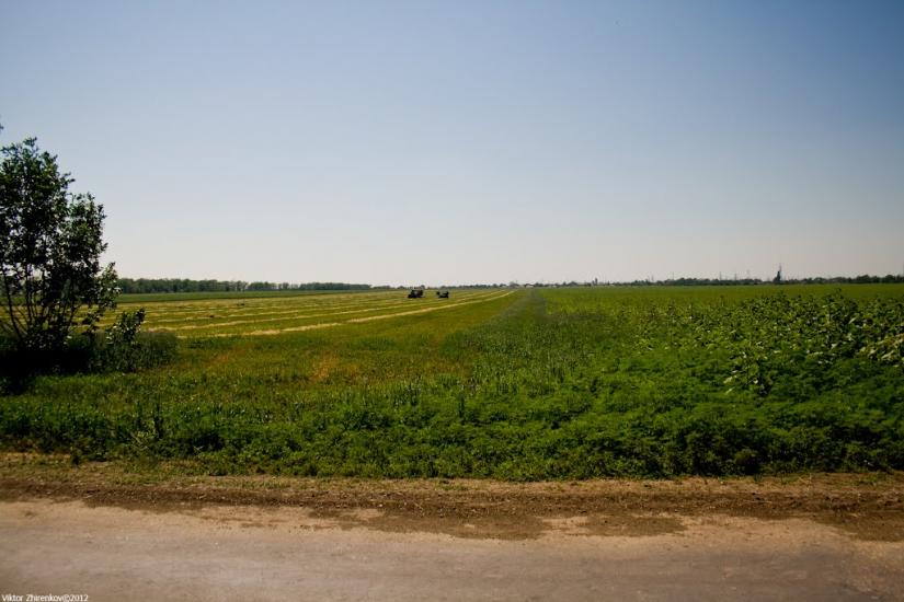 Ігорівка з panoramio.com - Ігорівка