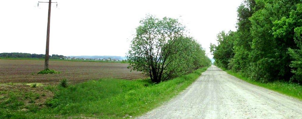 Черниця з panoramio.com - Черниця