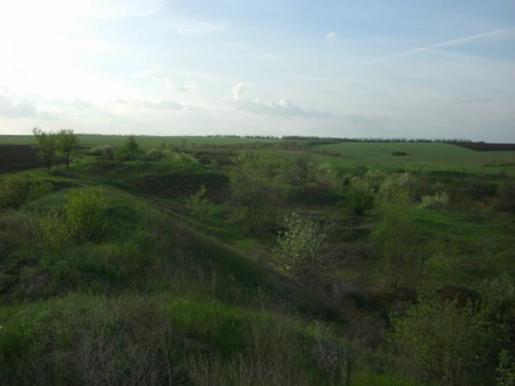 Доброжанове з panoramio.com - Доброжанове