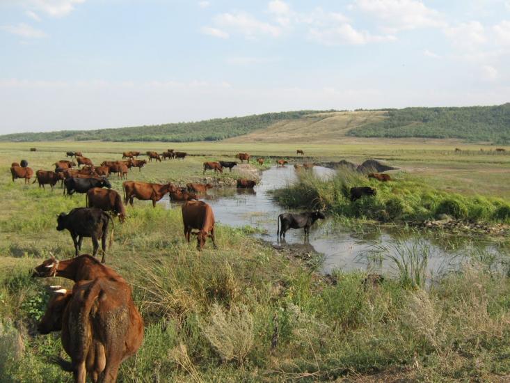 Демидове з panoramio.com - Демидово