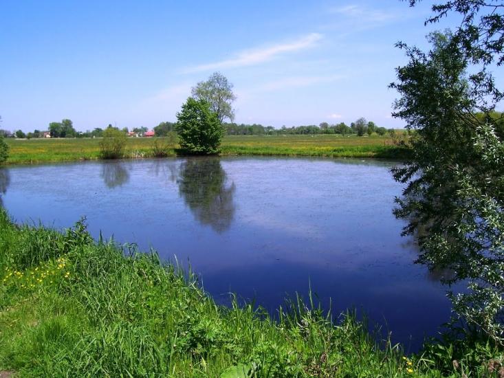 Старява з panoramio.com - Старява