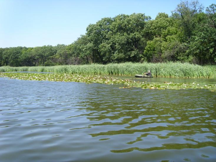 Сокільники з panoramio.com - Сокольники