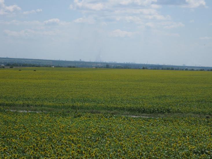 Лозуватка з panoramio.com - Лозуватка