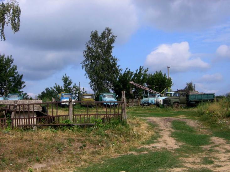 Буйвалове з panoramio.com - Буйвалове